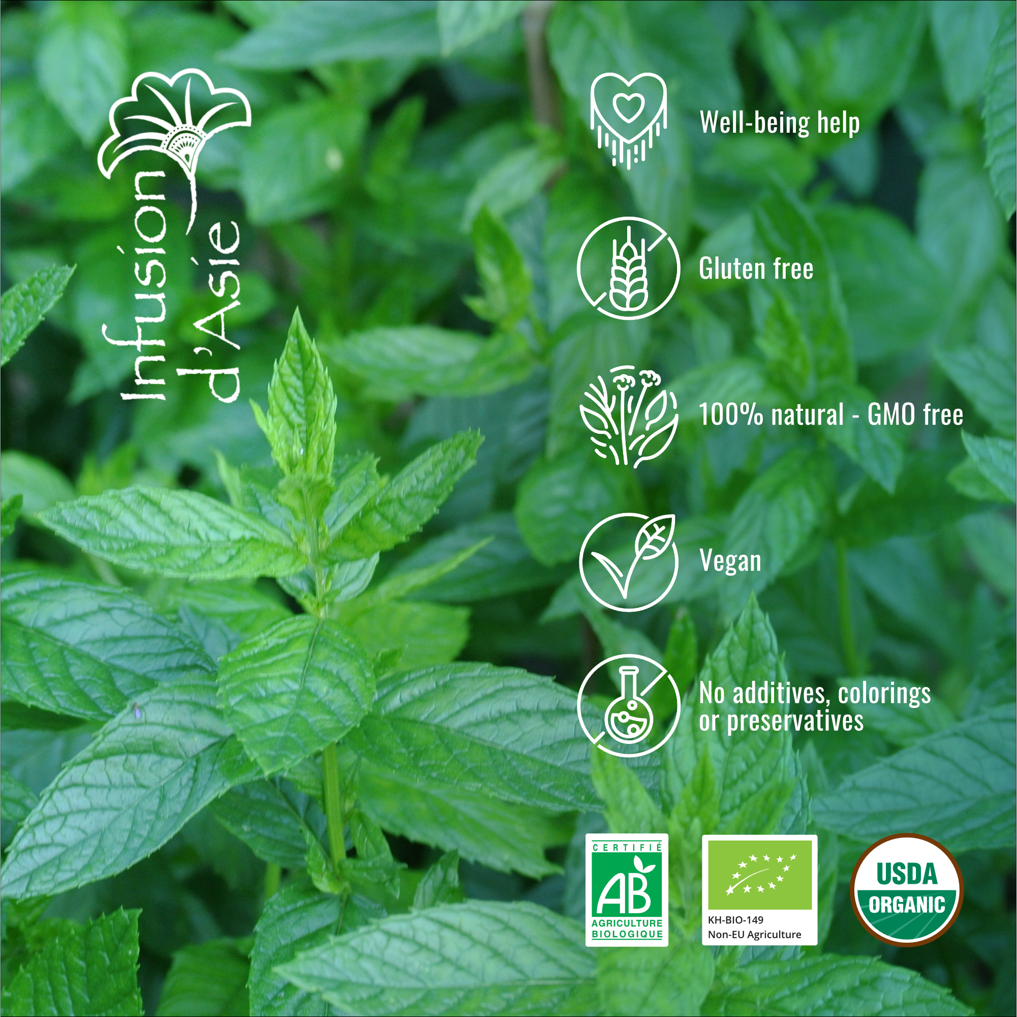 Menthe Poivrée bio 150g – Image 2